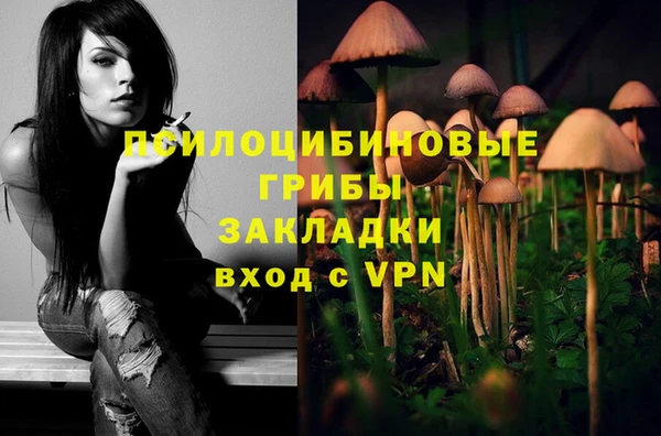 мет Елабуга