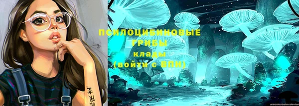 крисы Елизово