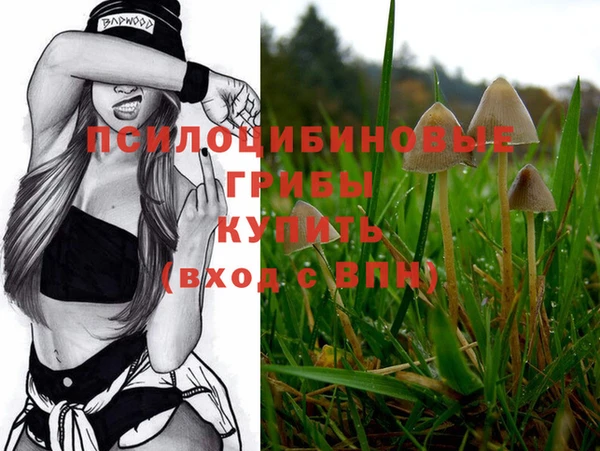 МДМА Ельня