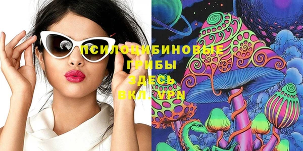 мет Елабуга