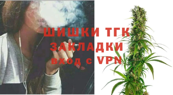 мет Елабуга