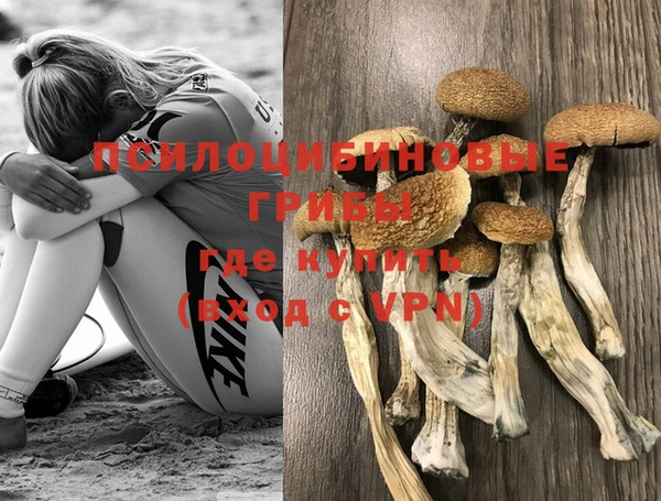 МДМА Ельня