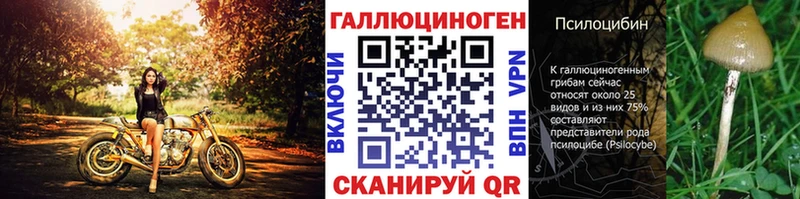 Псилоцибиновые грибы мухоморы  Купить  Горнозаводск 